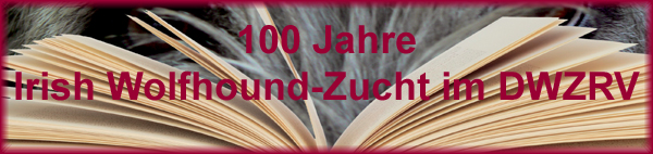 100-Jahre-Banner.jpg (114000 Byte)