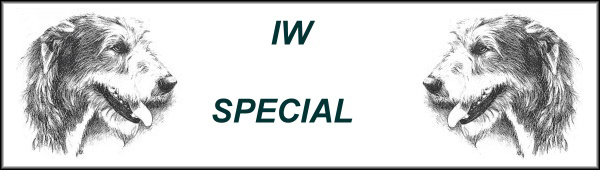 Linkbanner_2008.jpg (57948 Byte)