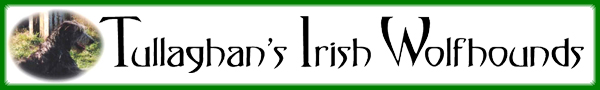 tullaghans-banner.jpg (36753 Byte)